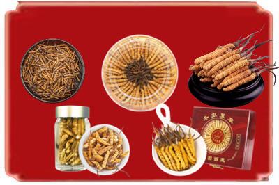 邯郸复兴区烟酒回收各种虫草.jpg
